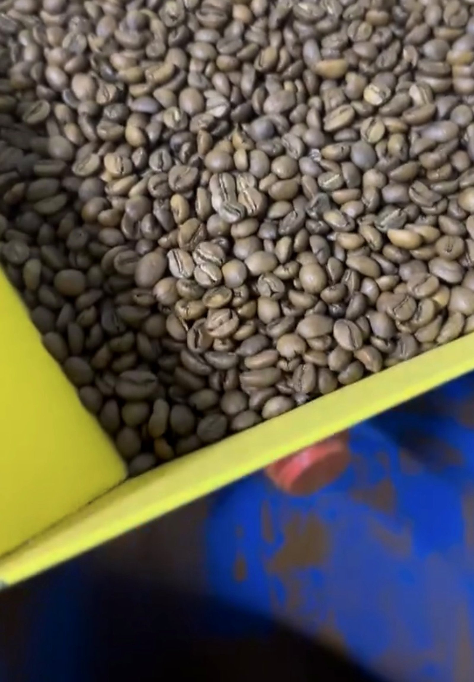 Granos de café tostados